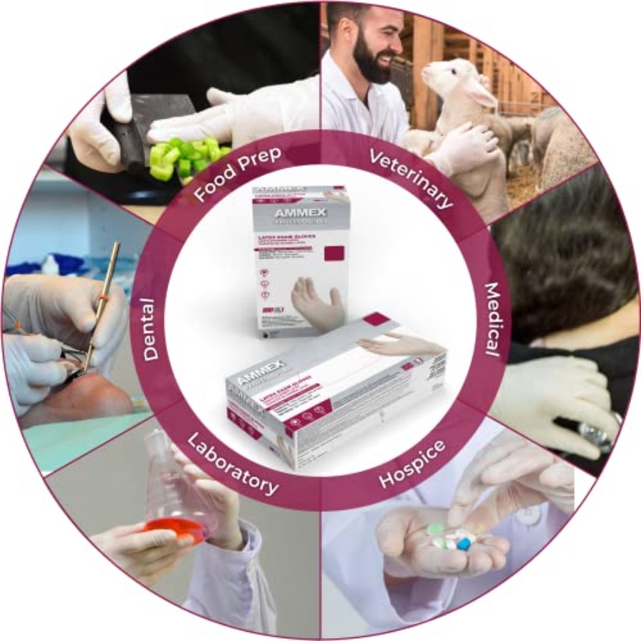 AMMEX White Latex Disposable E - Latex Disposable Glove ulasan dan harga